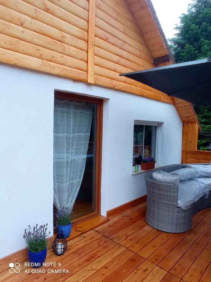 Apartamenty Sowianka Ludwikowice Kłodzkie Kültér fotó