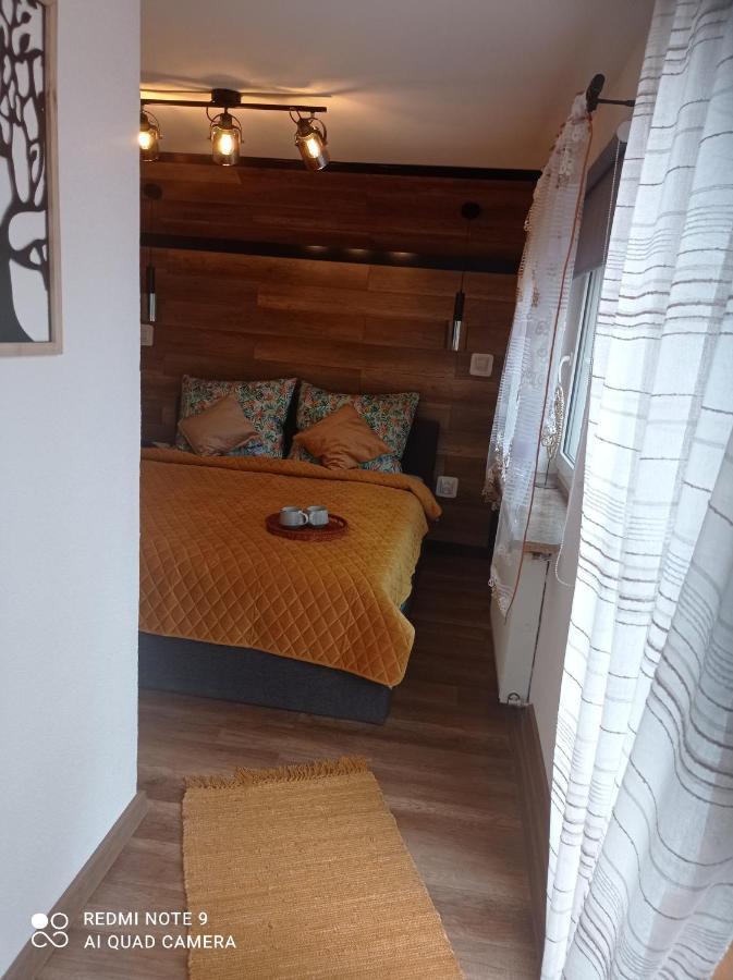 Apartamenty Sowianka Ludwikowice Kłodzkie Kültér fotó