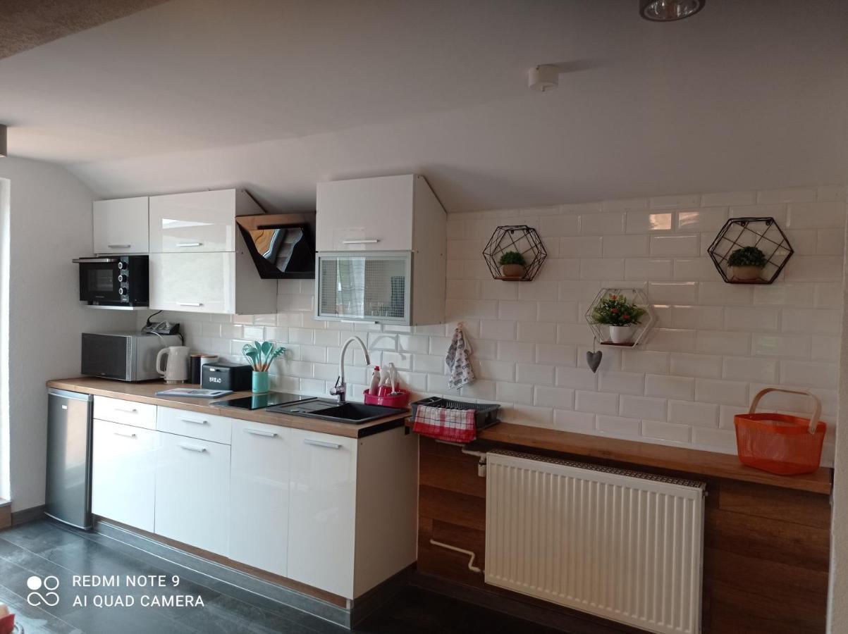 Apartamenty Sowianka Ludwikowice Kłodzkie Kültér fotó