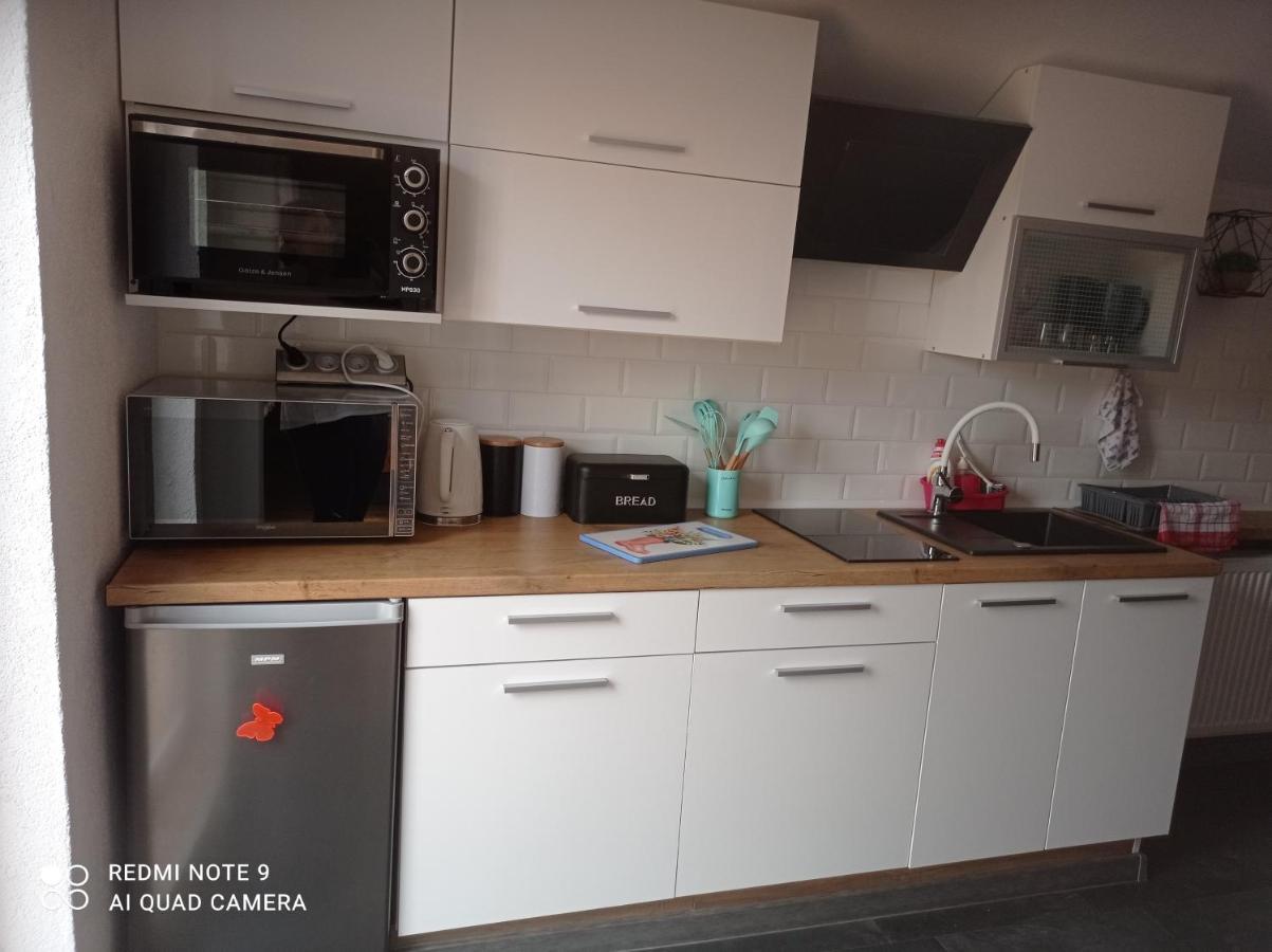 Apartamenty Sowianka Ludwikowice Kłodzkie Kültér fotó